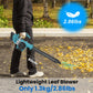 21V Cordless Leaf Blower, 350KM/H Max Wind Speed, 3 Speeds, LED Display, Lightweight, with 2 Nozzles & Battery