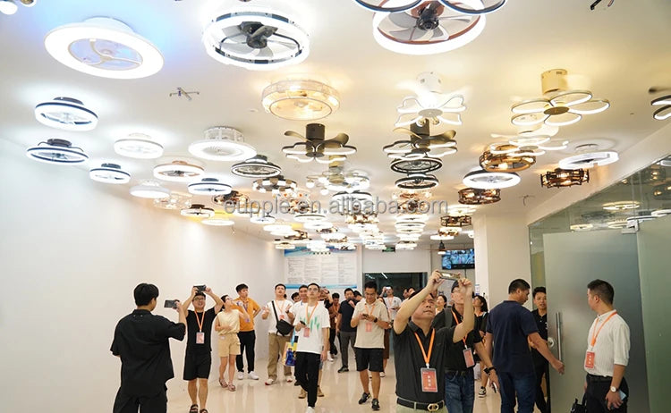 500mm butterfly Children Ceiling Fan with Light for Kids Room