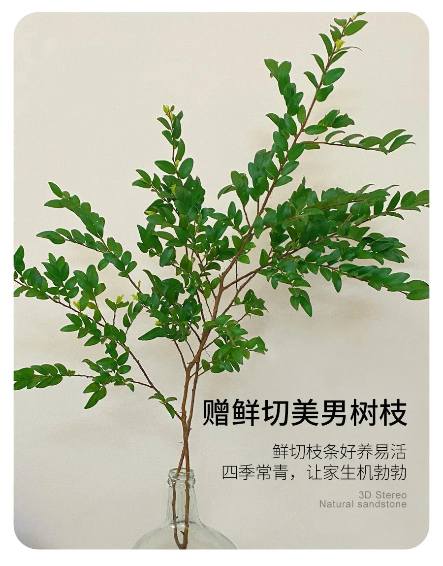 Jiasijia 2024 vase hydroponic decorative painting cream wind porch physical three-dimensional decorative