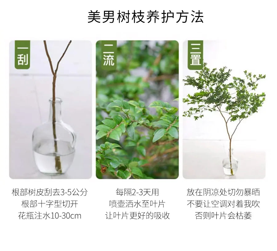 Jiasijia 2024 vase hydroponic decorative painting cream wind porch physical three-dimensional decorative